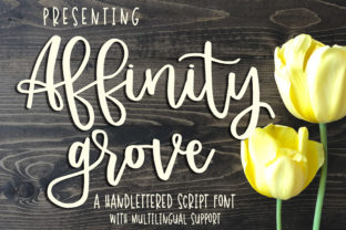 Affinity Grove: The Signature Typeface for Scroll-Stopping Campaigns