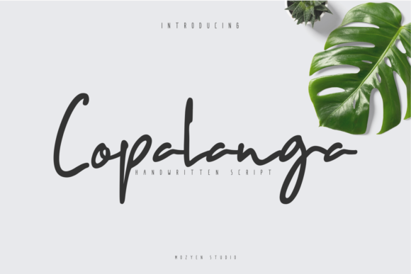 Copalanga: A Charming Script Font for Small Business Branding